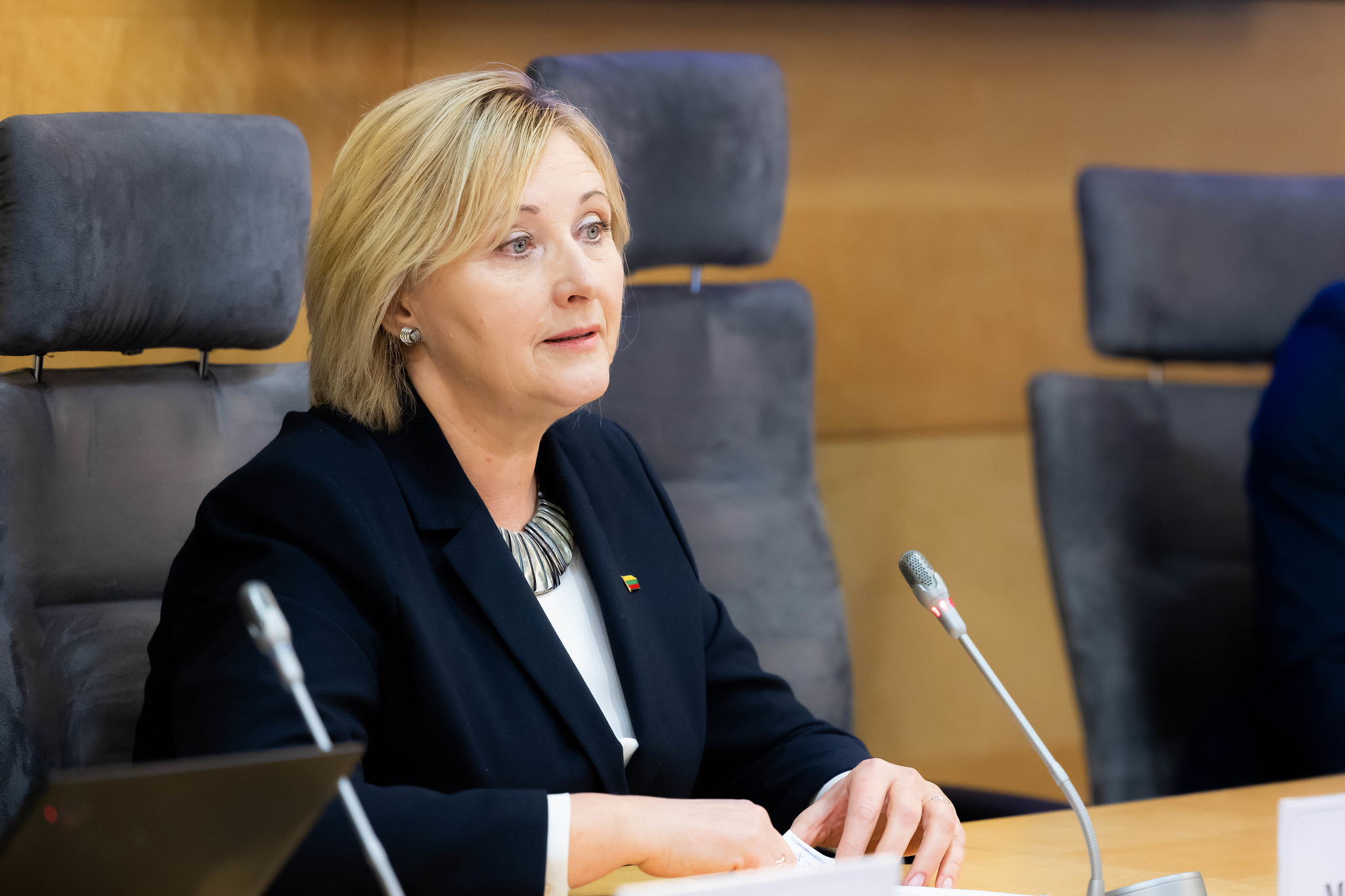 Seimo narė Laima Mogenienė: smulkiam ir vidutiniam verslui reikalingas sisteminis užtarimas
